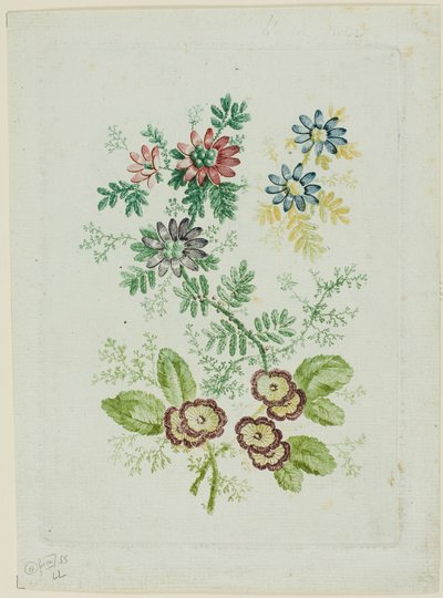 Blomster af Anne Allen