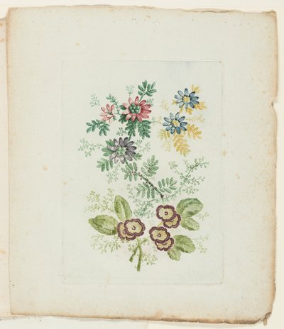 Tallerken fra New Suite of Notebooks of Ideal Flowers til brug af tegnere og malere af Anne Allen