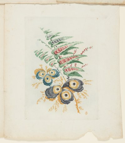 Tallerken fra New Suite of Notebooks of Ideal Flowers til brug af tegnere og malere af Anne Allen