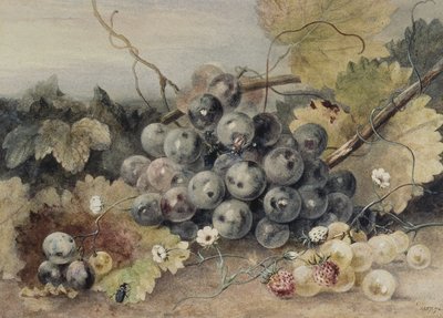 Vindruer og jordbær af Anne Frances Byrne