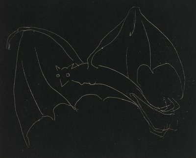 Night Series: The Bat (ætsning, hvid streg på vævet papir) af Anne Goldthwaite