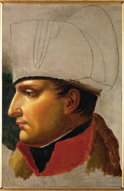 Kejser Napoleon I (olie på lærred) af Anne Louis Girodet de Roucy-Trioson