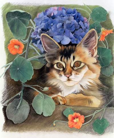 Sodet med hortensia af Anne Robinson