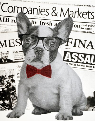 Wall street hund, 2015 af Anne Storno