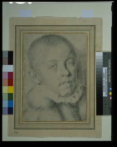 Portræt-hoved af en ung dreng (sort kridt og kul på papir) af Annibale (follower of) Carracci
