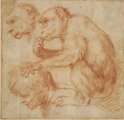 Carracci - En abe på en mands skuldre i profil til venstre og et studie af dens ansigt, studie til et maleri Rødkridt, Ff,2.115 af Annibale Carracci