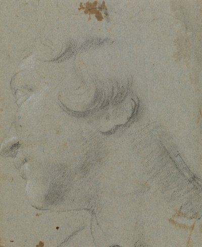 Carracci - Skt. Katharinas hoved, RCIN 902115 af Annibale Carracci