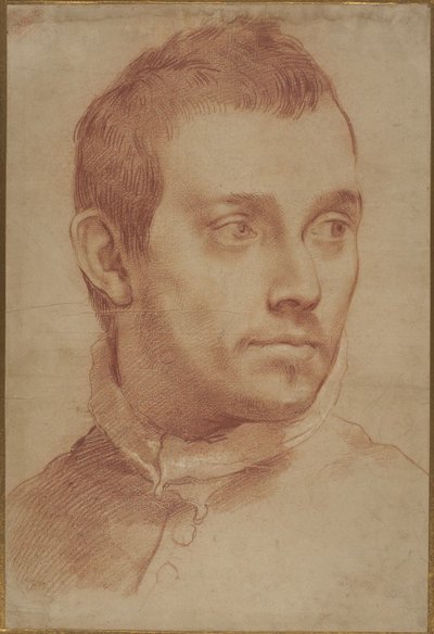 Portræt af en ung mand af Annibale Carracci
