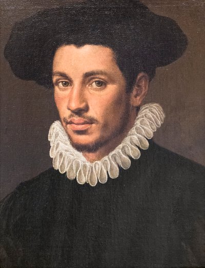Portræt af en ung mand af Annibale Carracci