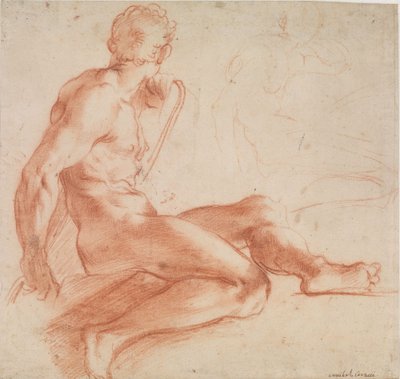 Sitzender männlicher Akt af Annibale Carracci