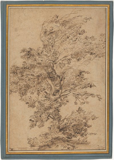 Studie eines Baumes af Annibale Carracci