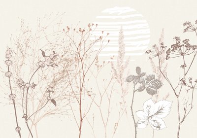 Tørret engblomst af Annick