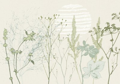 Dæmpet botanisk solopgang af Annick