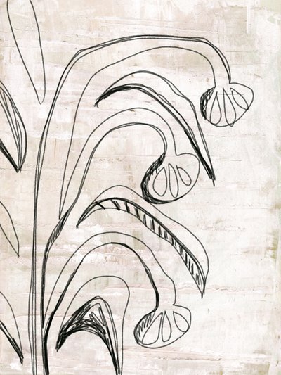 Organic Line Botanicals af Annick