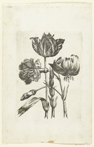 Anjer, tulp en lelie Nye blomsterikoner (serietitel) af Anonymous