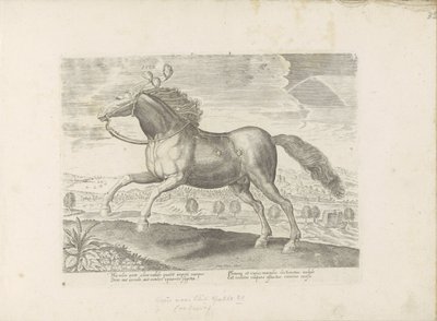 Arabisk paard Bring (titel på objekt) Paardenrassen uit de Koninklijke stallen van Don Juan van Austria (serietitel) Hesten, hvor alle slags adelige: hestes opførsel adskilt fra forskellige dele af verden udvalgt (...) (serietitel på objekt) af Anonymous