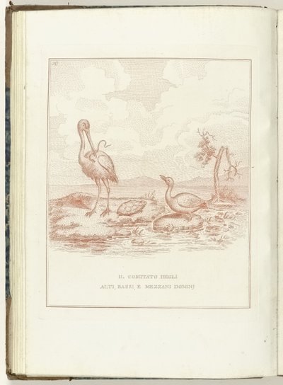 Comité van Hoge, Lage en Middelbare Heerlijkheden, 1795 Komitéen for Alti, Bassi og Mezzani Domini (titel på objekt) Hollandia Regenerata (Italiensk kopie) (serietitel) Hollands regeneration: spechio til alle regenererede folk (serie t af Anonymous