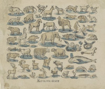 tjenere Natural History (titel på objekt) af Anonymous