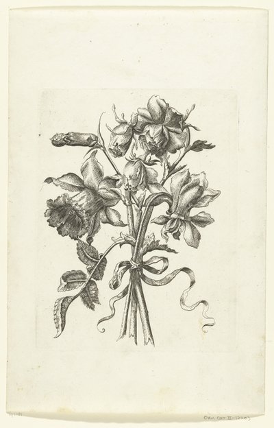 Tre blomster, inklusive en påskelilje og en nellike Novae Florum Icones (serietitel) af Anonymous