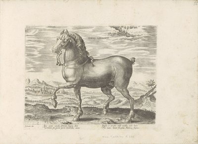 Duits paard Tysk hest (titel på objekt) Paardenrassen uit de Koninklijke stallen van Don Juan van Austria (serietitel) Hesten, hvor alle former for adelsmænd: hestes opførsel adskilt fra forskellige dele af verden udvalgt (...) (serietitel på ob af Anonymous
