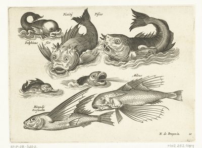 Fantastiske vanddyr, herunder delfiner og kaskelothval Libelivs diverse Genera piscium complectens (serietitel) Ferskvandsfisk, havfisk, frøer, krebsdyr og havdyr (serietitel) af Anonymous