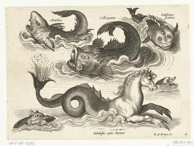 Fantastiske vanddyr, inklusive søhest Libelivs diverse Genera piscium complectens (serietitel) Ferskvandsfisk, havfisk, frøer, krebsdyr og havdyr (serietitel) af Anonymous