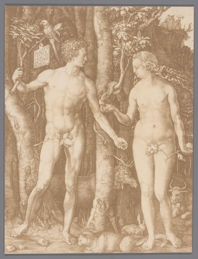 Fotoreproduktion af graveringen Adam og Eva af Albrecht Dürer af Anonymous