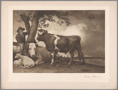 Fotogengivelse af maleriet Tyren af ​​Paulus Potter, saml. Mauritshuis 1904 - Nej. 54. / Konigl. Museum i Haag (serietitel) af Anonymous