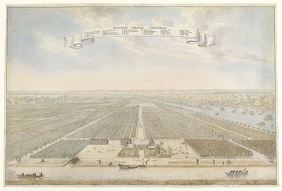 Udsigt over Cornelis Vriendschap-plantagen i Surinam Plantage Cornelis Venskab (titel på objekt) af Anonymous