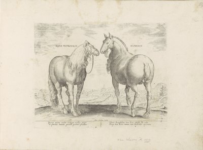 Hengst en merrie uit Rom Roman Matronal Horse (titel på objekt) Paardenrassen uit de Koninklijke stallen van Don Juan van Austria (serietitel) Hesten, hvor alle slags adelige: adfærden hos heste udvalgt fra forskellige dele af verden skelnes ( af Anonymous