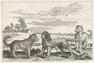 hunde Firebenede dyr (serietitel) Animalivm Qvaddrvpedvm (serietitel) af Anonymous