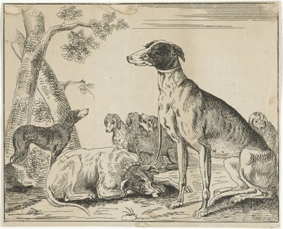 hundekennel af Anonymous
