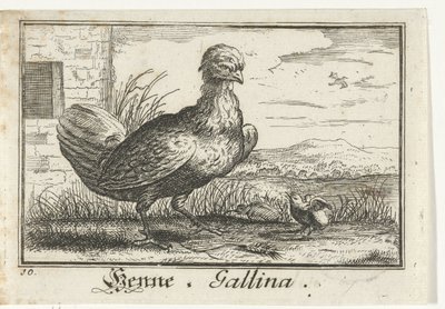 Kylling med kylling Henna, Gallina. (titel på objekt) af Anonymous