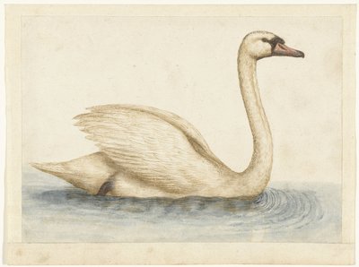 stumsvane Lombard album (serietitel) af Anonymous