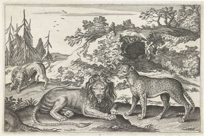 Løver og Leopard Firebenede dyr (serietitel) Animalivm Qvaddrvpedvm (serietitel) af Anonymous