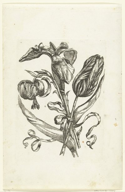 Lelie, iris og tulipan Nye blomsterikoner (serietitel) af Anonymous