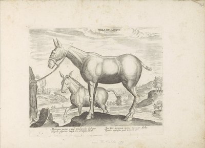 Mulezel og ezel Mule og æsel (titel på objekt) Paardenrassen uit de Koninklijke stallen van Don Juan van Austria (serietitel) Hesten, hvor alle former for adelsmænd: hestes opførsel adskilt fra forskellige dele af verden udvalgt (...) (serietitel af Anonymous