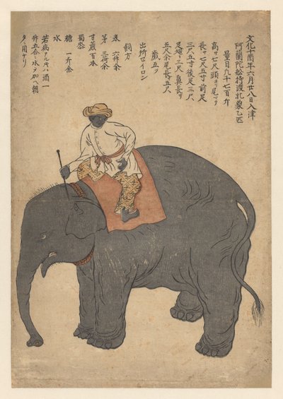 Elefant bragt af et hollandsk skib i 1813 af Anonymous