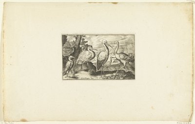 Stork mellem to andre fugle Volatilium varii generis (...) (serietitel) af Anonymous