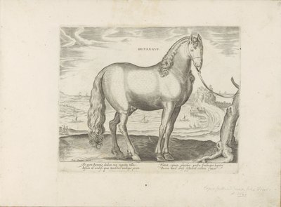 Paard uit Bretagne (Storbritannien) Britisk (titel på objekt) Paardenrassen uit de Koninklijke stallen van Don Juan van Austria (serietitel) En hest, hvor alle slags adelige: udvalgt fra forskellige dele af verden kendetegnet ved hestes adfærd (...) (seri) af Anonymous
