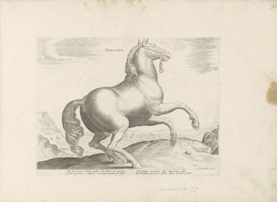 Paard ud Frankrig Fransk (titel på objekt) Paardenrassen uit de Koninklijke stallen van Don Juan van Austria (serietitel) Hesten, hvor alle former for adelsmænd: hestes opførsel adskilt fra forskellige dele af verden udvalgt (...) (serietitel på af Anonymous