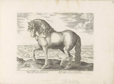 Paard ud Friesland Phryso (titel på objekt) Paardenrassen uit de Koninklijke stallen van Don Juan van Austria (serietitel) Hesten, hvor alle former for adelsmænd: hestes opførsel adskilt fra forskellige dele af verden udvalgt (...) (serietitel på ob af Anonymous