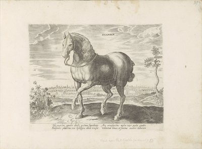 Paard uit Gelre Sicamber (titel på objekt) Paardenrassen uit de Koninklijke stallen van Don Juan van Austria (serietitel) Hesten, hvor alle slags adelige: hestes opførsel adskilt fra forskellige dele af verden udvalgt (...) (serietitel på obje af Anonymous
