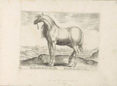 Paard fra Grækenland Achivus (titel på objekt) Paardenrassen uit de Koninklijke stallen van Don Juan van Austria (serietitel) Hesten, hvor alle former for adelsmænd: hestes opførsel adskilt fra forskellige dele af verden udvalgt (...) (serietitel på af Anonymous