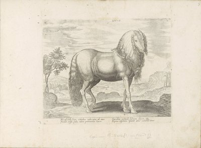 Paard uit Roemenië (hollandsk) Dacus (titel på objekt) Paardenrassen uit de Koninklijke stallen van Don Juan van Austria (serietitel) Hesten, hvor alle former for adelsmænd: opførsel af heste adskilt fra forskellige dele af verden udvalgt (...) (serietitel af Anonymous