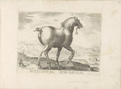 Paard uit Saksen Saxo (titel på objekt) Paardenrassen uit de Koninklijke stallen van Don Juan van Austria (serietitel) Hesten, hvor alle slags adelige: hestes opførsel adskilt fra forskellige dele af verden udvalgt (...) (serietitel på objekt) af Anonymous