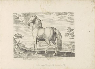 Paard fra Sardinien Sardonicus (titel på objekt) Paardenrassen uit de Koninklijke stallen van Don Juan van Austria (serietitel) Hesten, hvor alle former for adelsmænd: hestes opførsel adskilt fra forskellige dele af verden udvalgt (...) (serietitel på af Anonymous