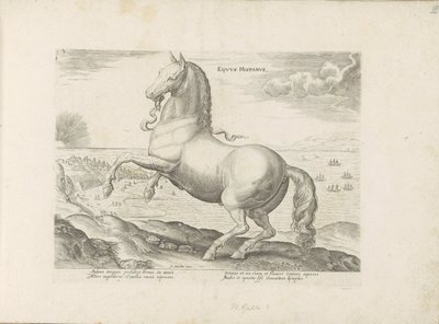 Paard ud Spanien Spansk hest (titel på objekt) Paardenrassen uit de Koninklijke stallen van Don Juan van Austria (serietitel) Hesten, hvor alle former for adelsmænd: hestes opførsel adskilt fra forskellige dele af verden udvalgt (...) (serietitel af Anonymous