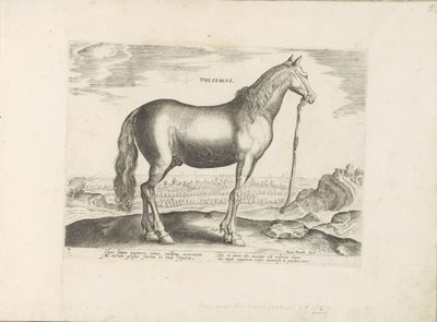 Paard uit Thessalië Thessalien (titel på objekt) Paardenrassen uit de Koninklijke stallen van Don Juan van Austria (serietitel) Hesten, hvor alle former for adelsmænd: hestes opførsel adskilt fra forskellige dele af verden udvalgt (...) (serietitel på af Anonymous