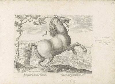 Paard ud Toscane Toscana (titel på objekt) Hesten, hvor alle slags adelige: hestes opførsel adskilt fra forskellige dele af verden udvalgt (...) (serietitel på objekt) af Anonymous